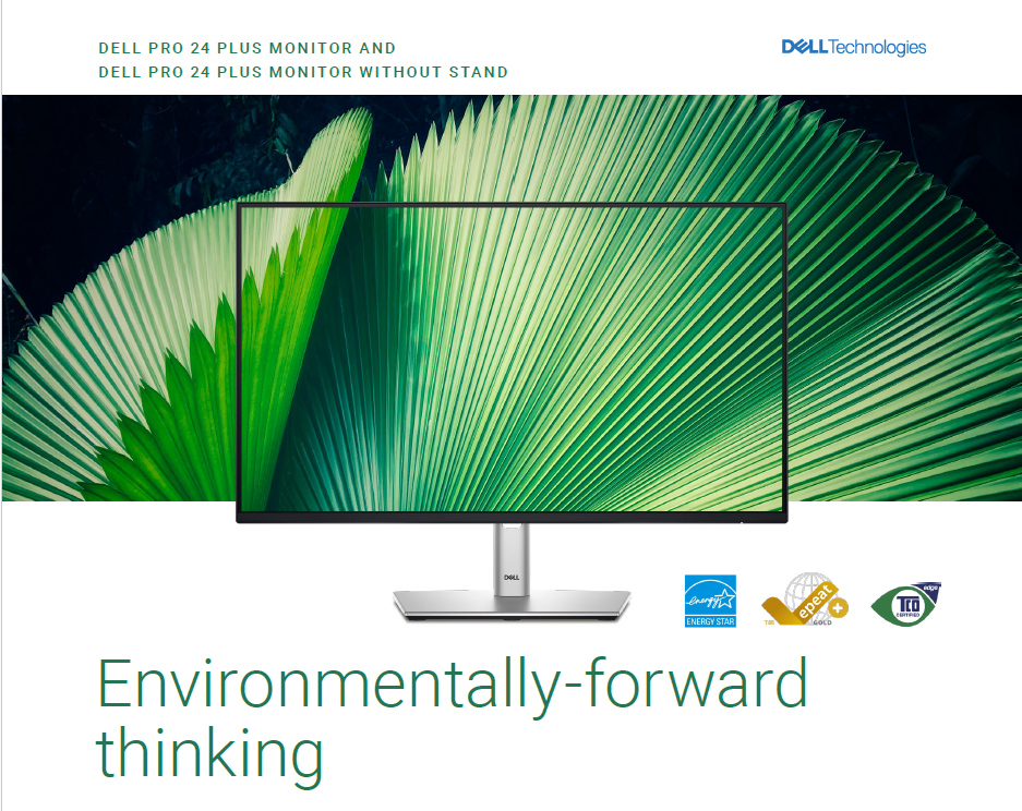 DELL 24" MONITOR - P2425H